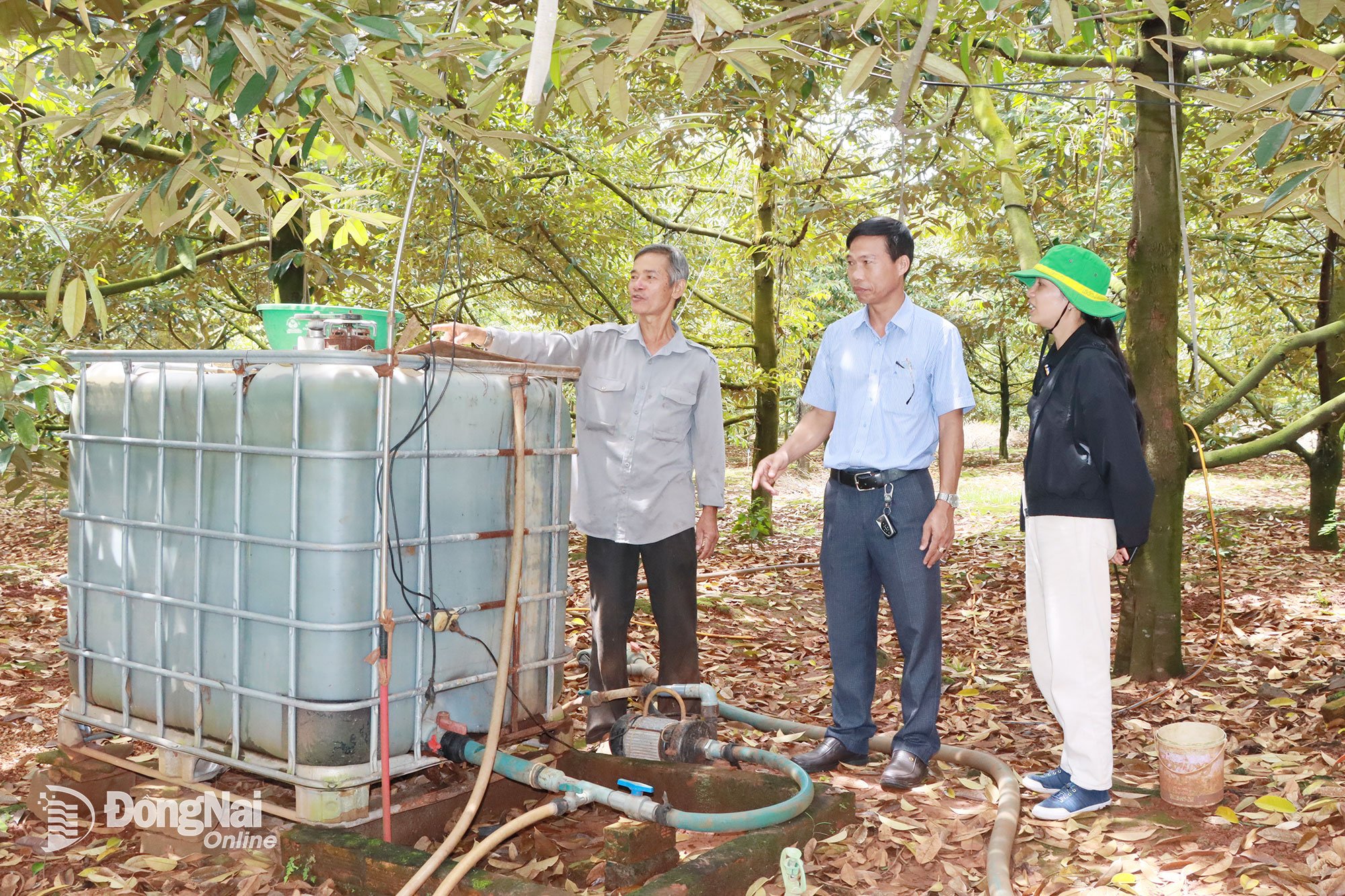 Domnul Tran Van Duc, domiciliat în Hamlet 7, comuna Song Ray, a introdus sistemul de pulverizare și depozitare IMO pentru îngrijirea grădinii de durian a familiei sale.