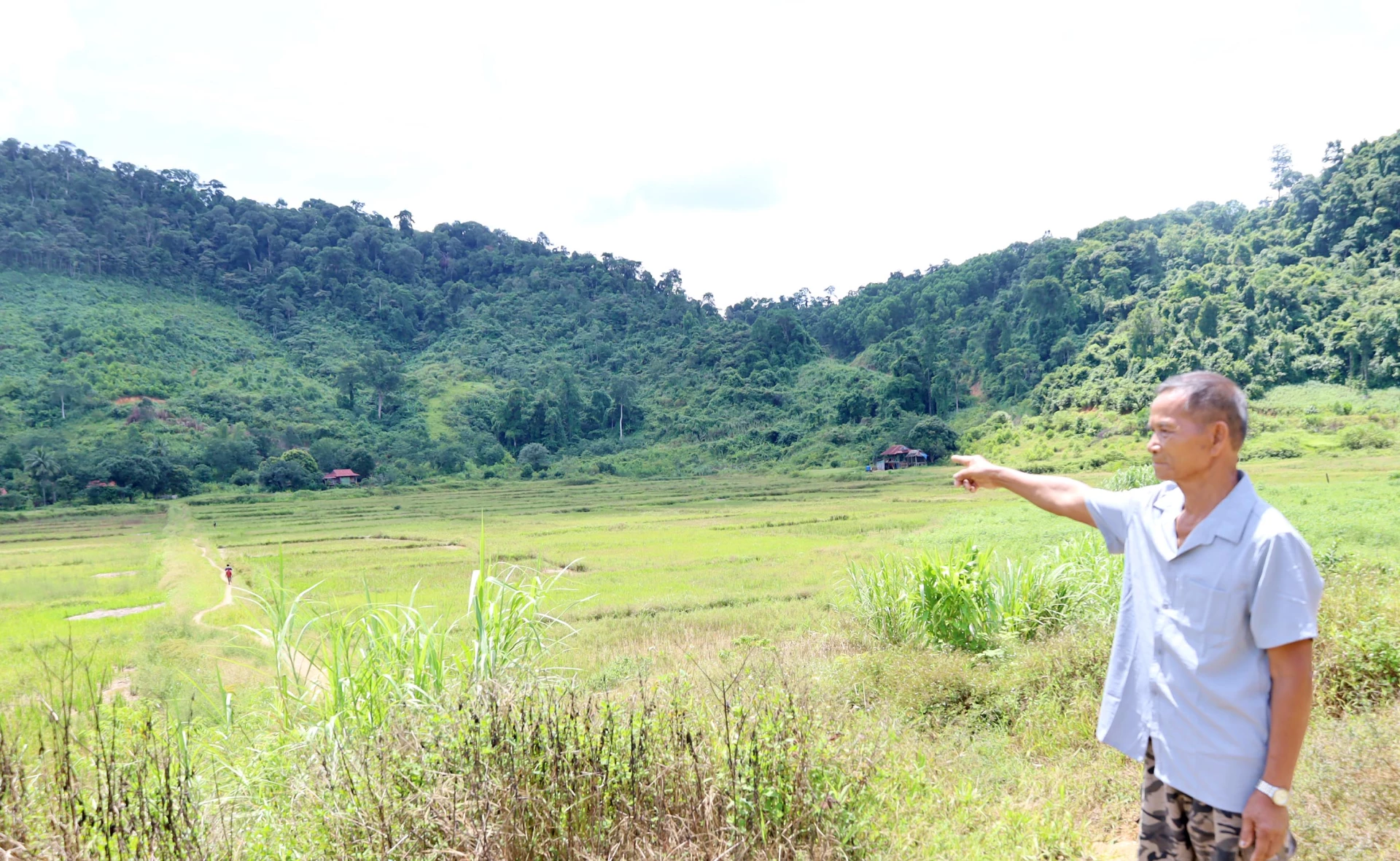 Старійшина села Нгуєн Лінь хоче мати надійний іригаційний проект для відновлення моделі виробництва рису з двох культур на рік у селі Сат - Фото: В.М.