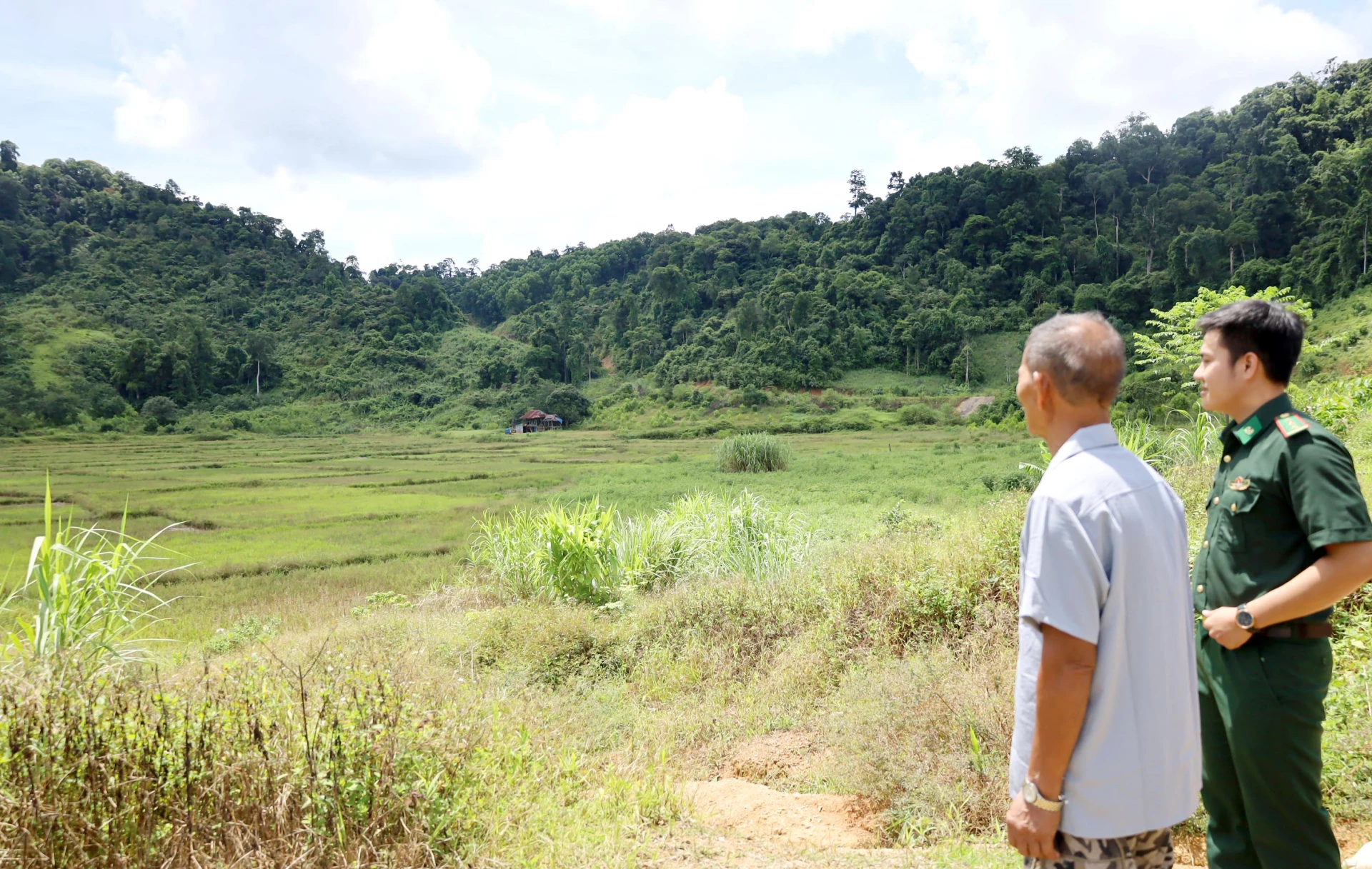 Після повені та зсуву у 2020 році вся рисова площа в селі Сат була майже покинута або залишена на самовільне відновлення, що дуже небезпечно через брак зрошувальної води - Фото: В.М.