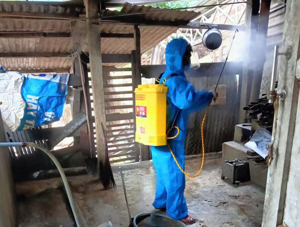 Efter historiska översvämningar, se upp för lurande epidemier - Foto 2. Sau lũ lịch sử, coi chừng dịch bệnh rình rập- Ảnh 2.