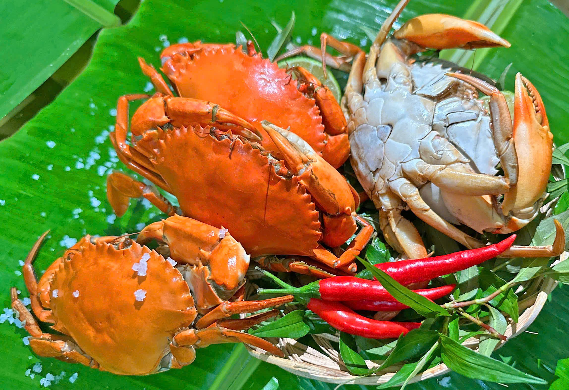 Cua yếm vuông Cà Mau: Món đặc sản khiến dân sành ăn bỏ cua gạch - Ảnh 3.