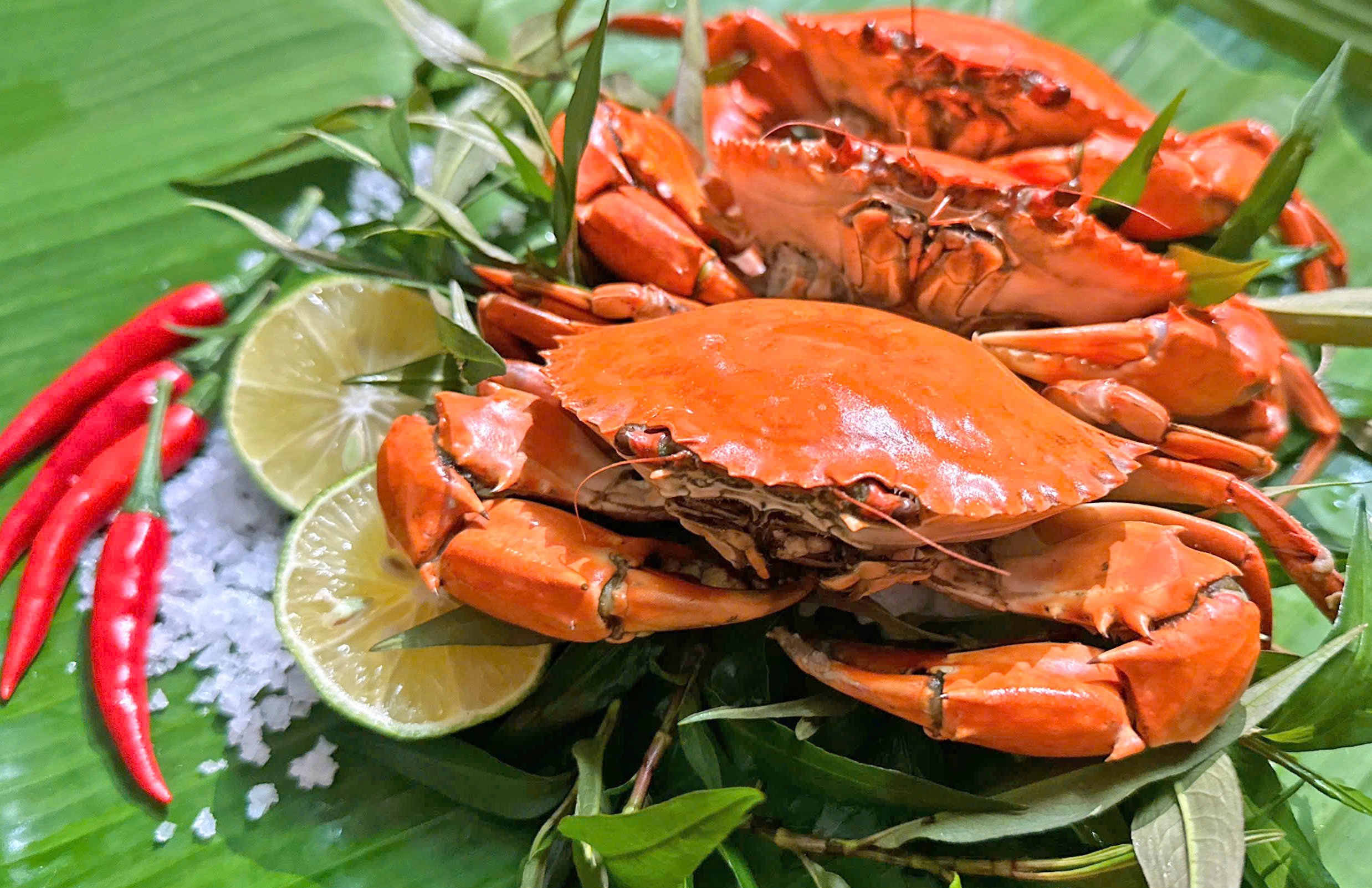 Cua yếm vuông Cà Mau: Món đặc sản khiến dân sành ăn bỏ cua gạch - Ảnh 4.