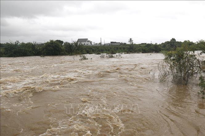 Légende de la photo