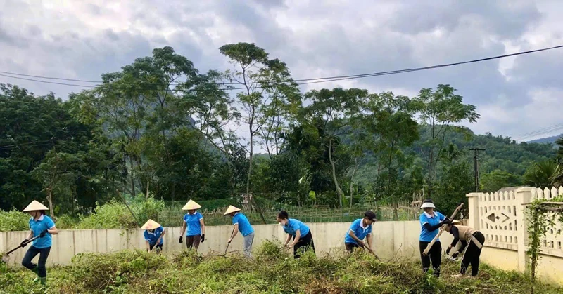 Unamos nuestras manos para embellecer cada paisaje.