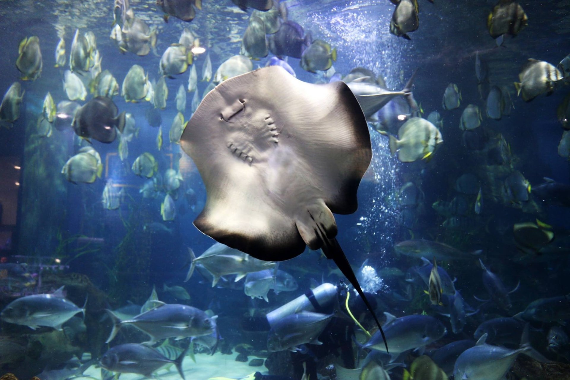 Vérifier soigneusement l'état du véhicule avant de l'accepter est une étape importante pour garantir la sécurité.