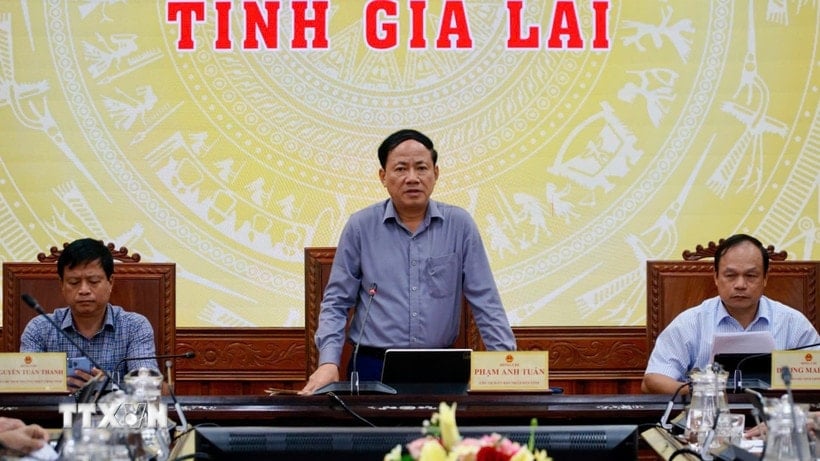 Ordföranden för provinsens folkkommitté, Pham Anh Tuan, talar vid det brådskande mötet. (Foto: Sy Thang/VNA)