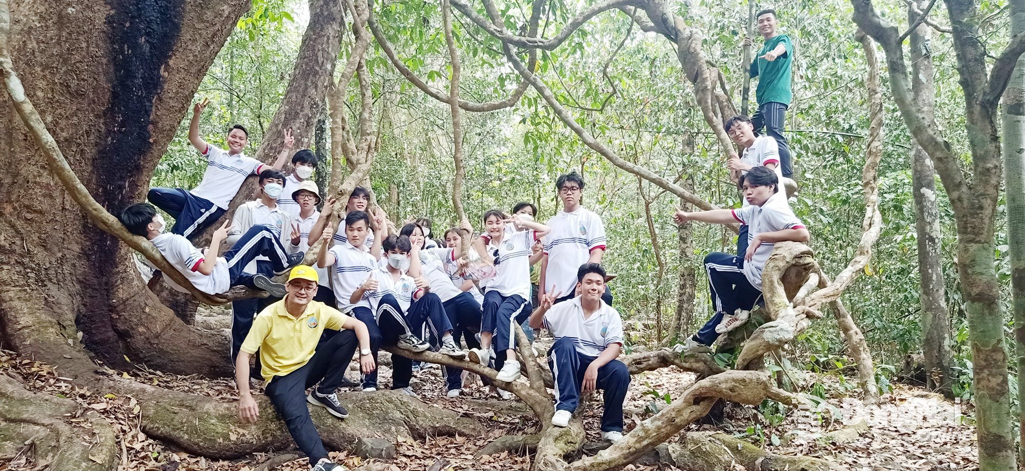 Khách du lịch khám phá cây di sản tại Vườn quốc gia Cát Tiên. Ảnh: Ngọc Liên

