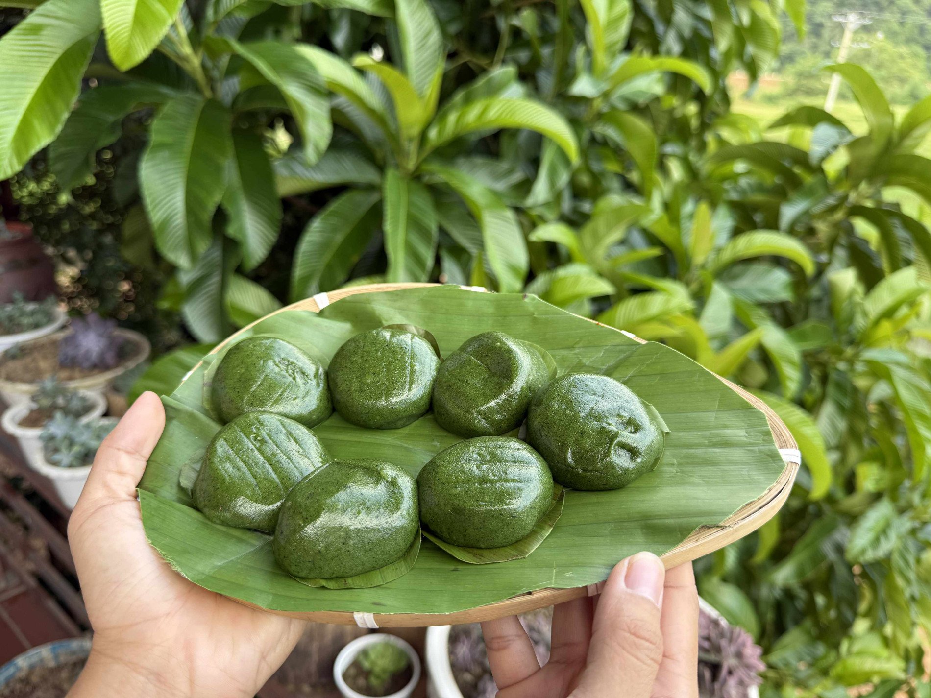 Тайський полиновий пиріг Нгуєн