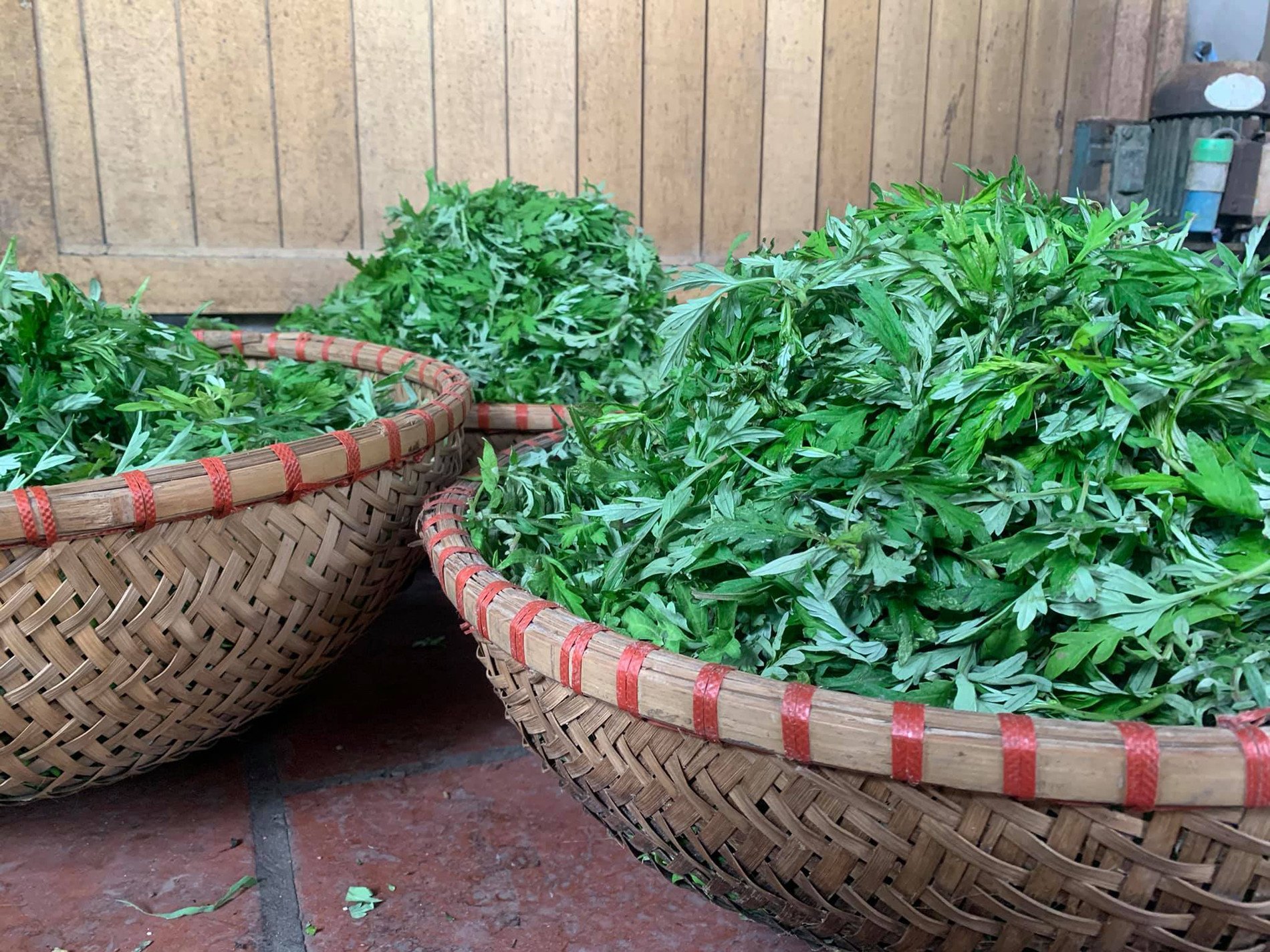 торт з полинкою ha du 0.jpg