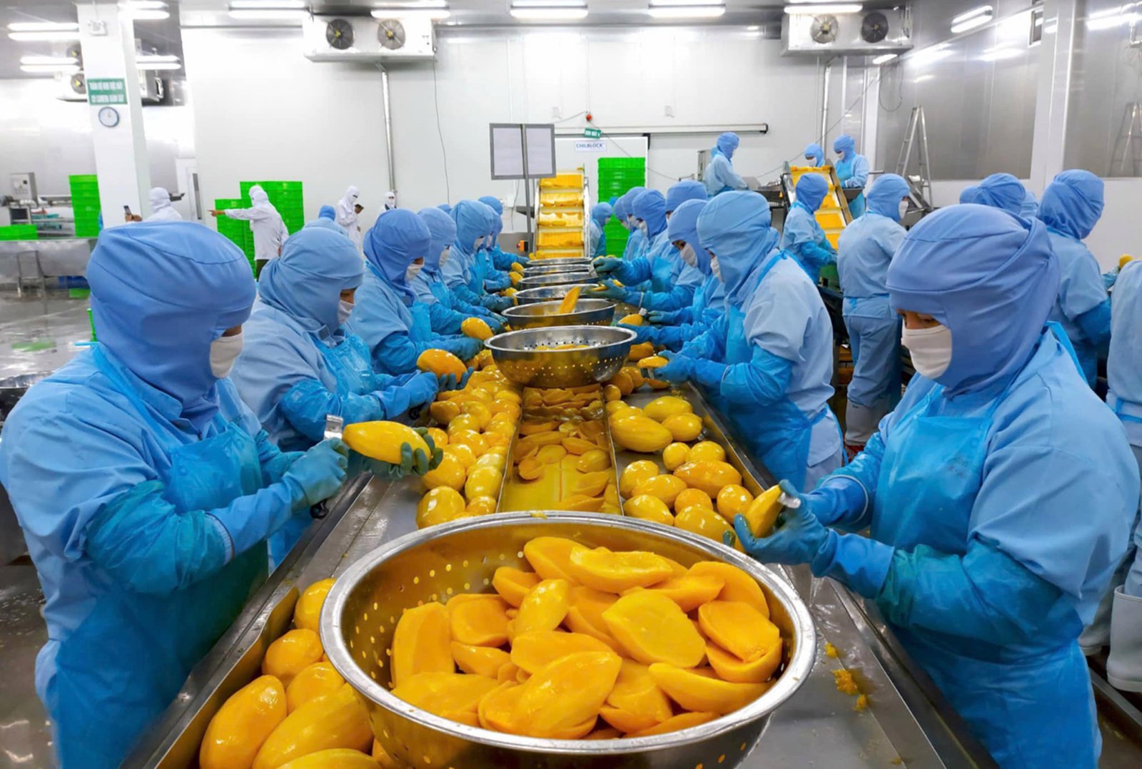 Antesco виходить на світовий ринок