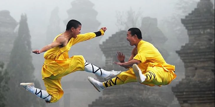 kung fu - Ảnh 3.