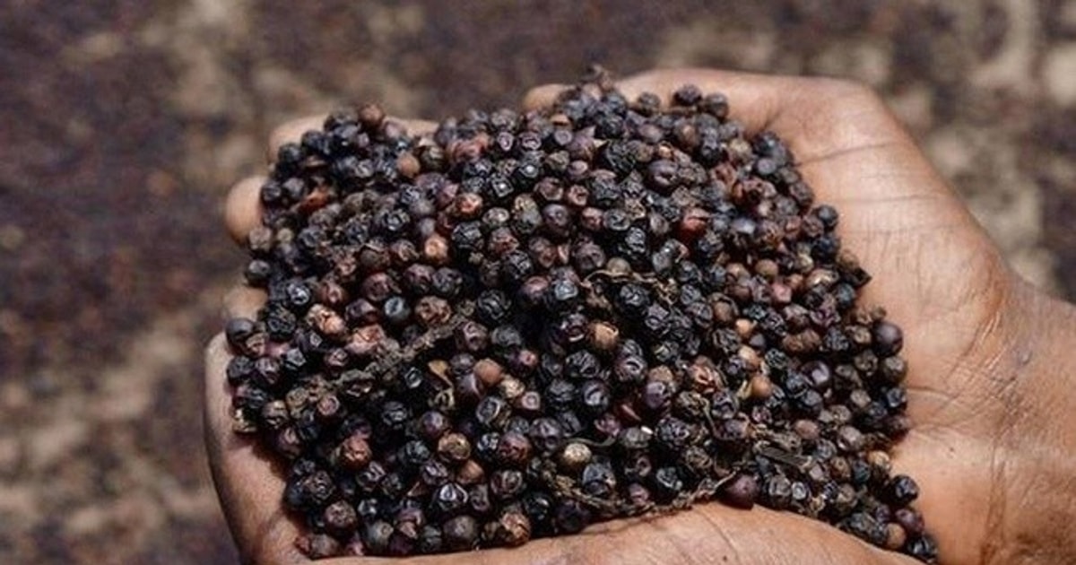 Giá tiêu hôm nay 3/11: Thị trường trong nước ổn định ở mức 148.000 đồng/kg