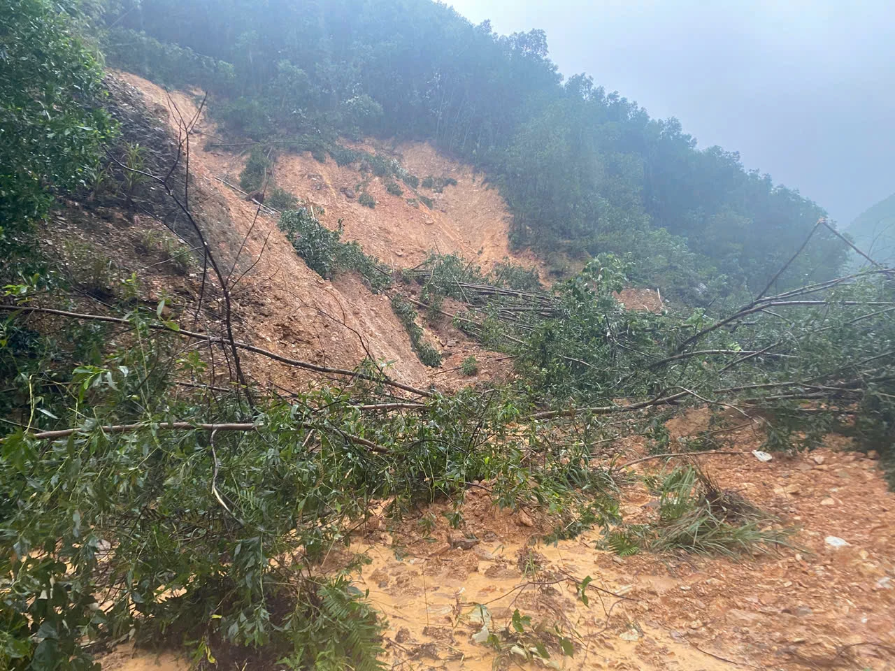 شدید بارش کی وجہ سے نیشنل ہائی وے 9C شدید لینڈ سلائیڈنگ کا شکار - تصویر: N.H