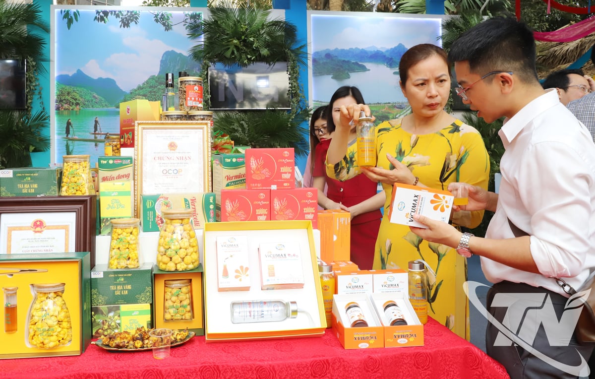 A curcumina (cúrcuma) é uma linha de produtos típica da Bac Ha Pharmaceutical Joint Stock Company.