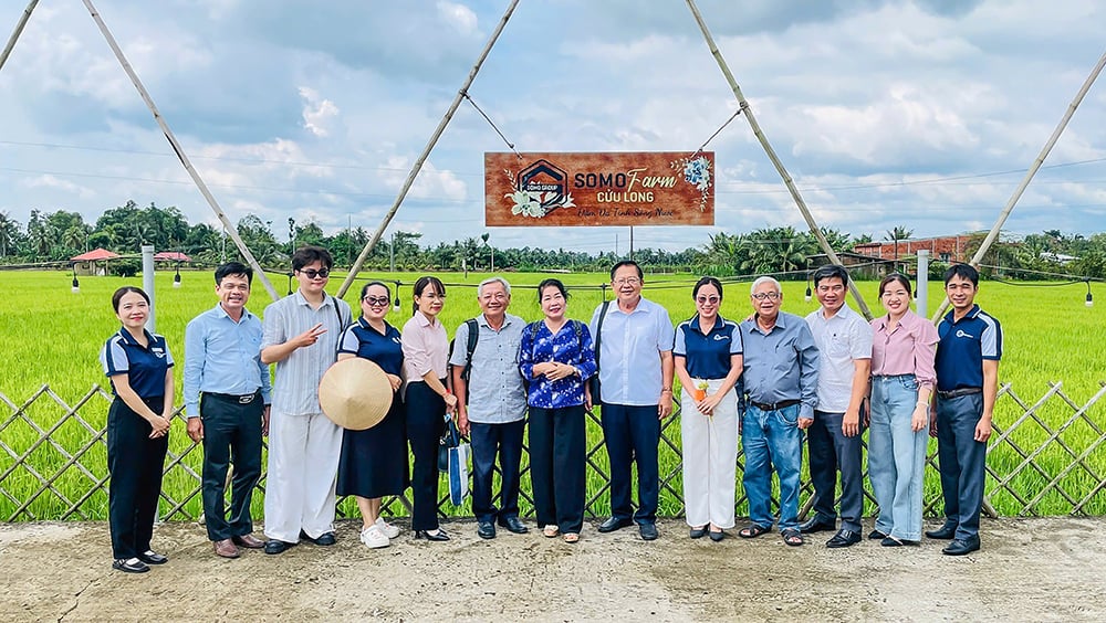 ក្រុមស្ទាបស្ទង់ 