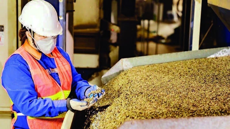 Kontroll av kvaliteten på exporterat kaffe på Dak Lak 2-9 Import-Export Company Limited. (Foto: MINH ANH)