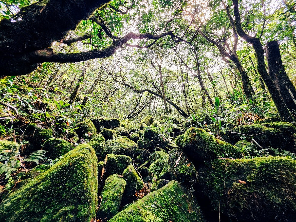 រូបថត 2.jpg