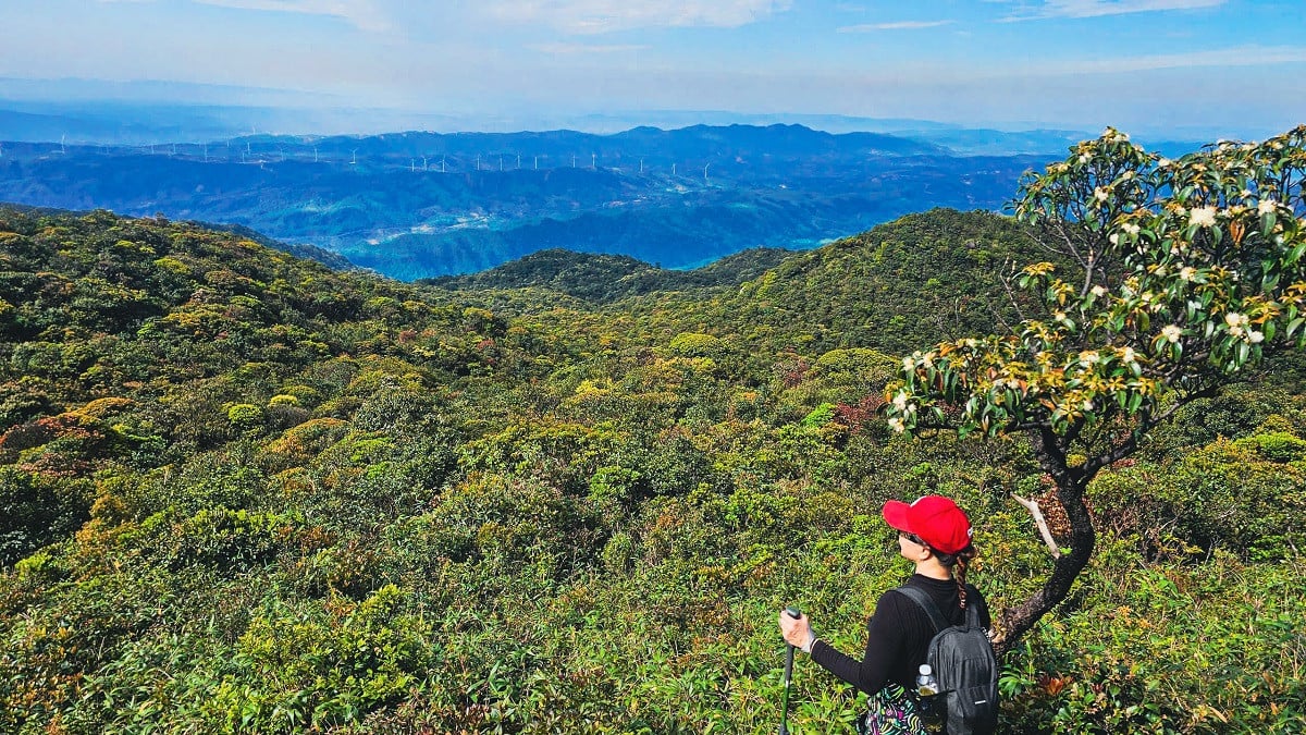 រូបថត 10.jpg