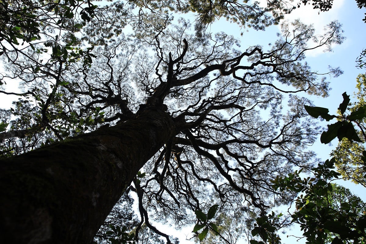 រូបថត 6.JPG