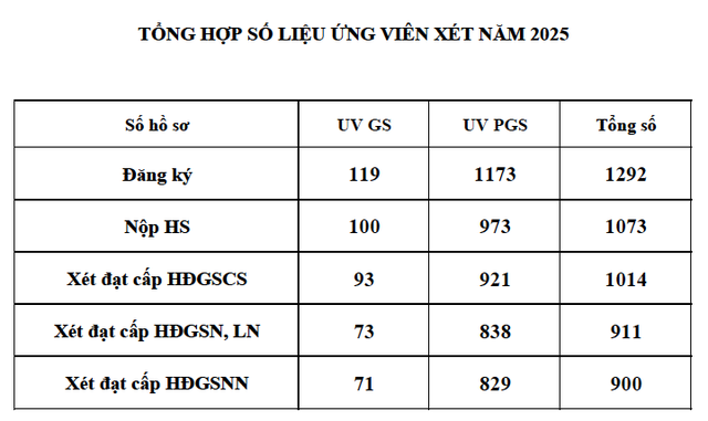 Hội đồng Giáo sư nhà nước không thông qua hồ sơ 11 ứng viên- Ảnh 2.