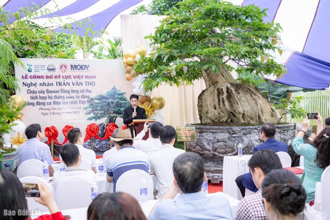 האומן טראן ואן טו עם עבודתו שקבעה שיא וייטנאמי.