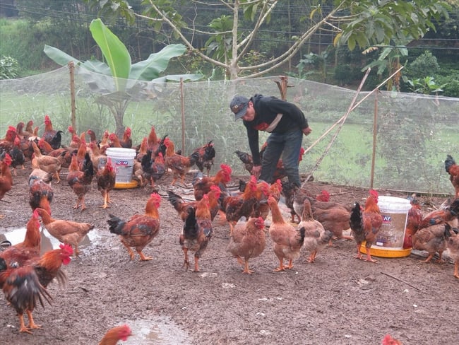 Nâng cấp hệ thống truyền thanh cơ sở: “Cầu nối” thông tin đến người dân - Ảnh 1.