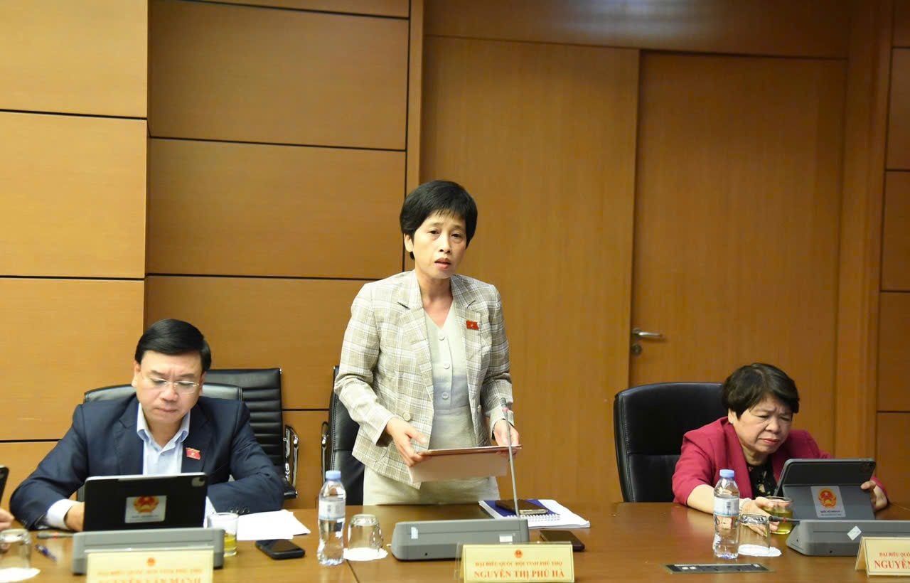 مندوب الجمعية الوطنية نجوين ثي فو ها (فو ثو) (2)