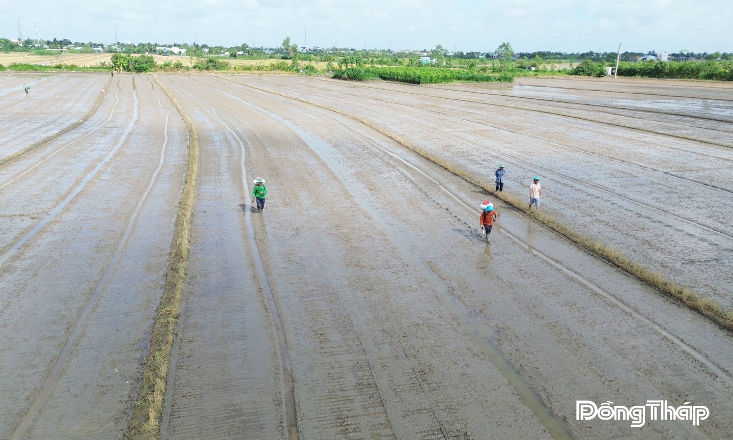 บทเรียนที่ 1: เกษตรกรรมยืนยันบทบาทสำคัญของตน