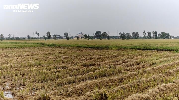 तैं ह नोई इन्वेस्टमेंट कंपनी लिमिटेड द्वारा निवेशित तिएन डू जिले - उप-क्षेत्र 112.1 (अब तिएन डू कम्यून, बाक निन्ह प्रांत में) में नया शहरी क्षेत्र, पर्यटन, पारिस्थितिकी, संस्कृति, रिसॉर्ट, मनोरंजन परियोजना अभी भी एक क्षेत्र है।