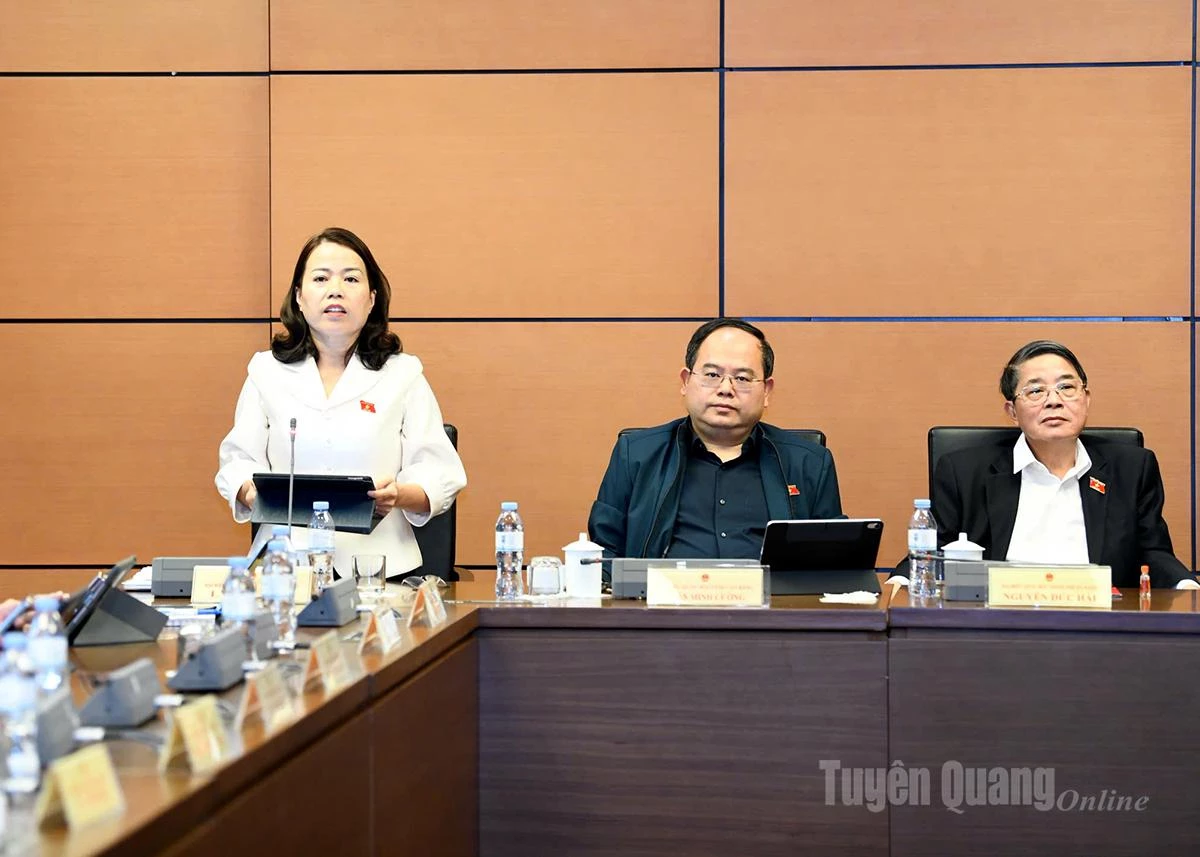 ຫົວໜ້າຄະນະຜູ້ແທນສະພາແຫ່ງຊາດແຂວງ ລີທິລານ ກ່າວຄຳເຫັນທີ່ການເຈລະຈາ.