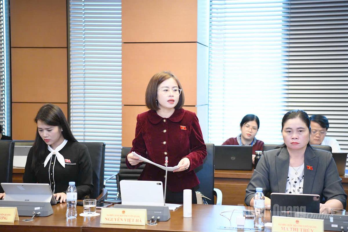 ທ່ານຜູ້ແທນ ຫງວຽນຫວຽດຮ່າ ກ່າວຄຳເຫັນທີ່ກອງປະຊຸມ.