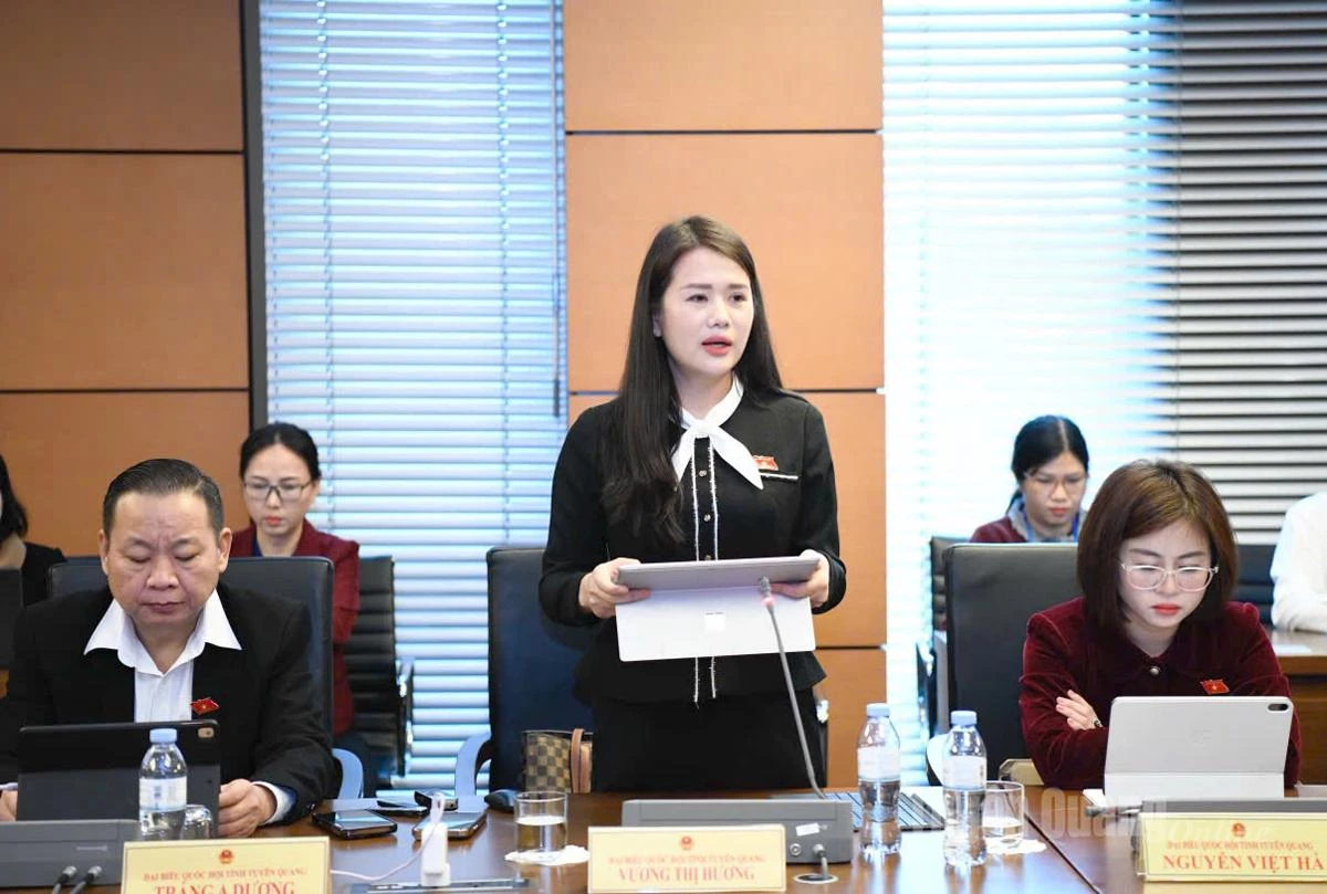 ກ່າວຄຳເຫັນທີ່ກອງປະຊຸມ, ທ່ານຜູ້ແທນ ຫວູທິຮົ່ງຮົ່ງ ກ່າວຄຳເຫັນທີ່ກອງປະຊຸມ.