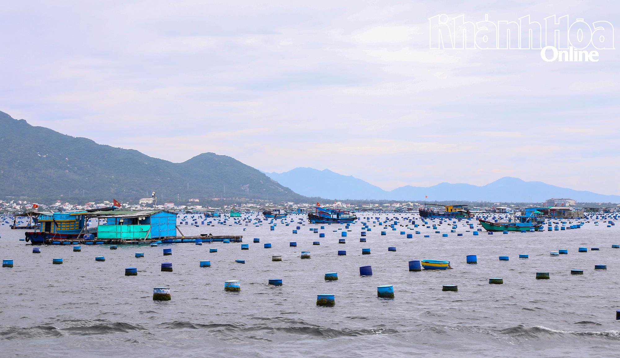 Sudut area akuakultur di Teluk Cam Ranh