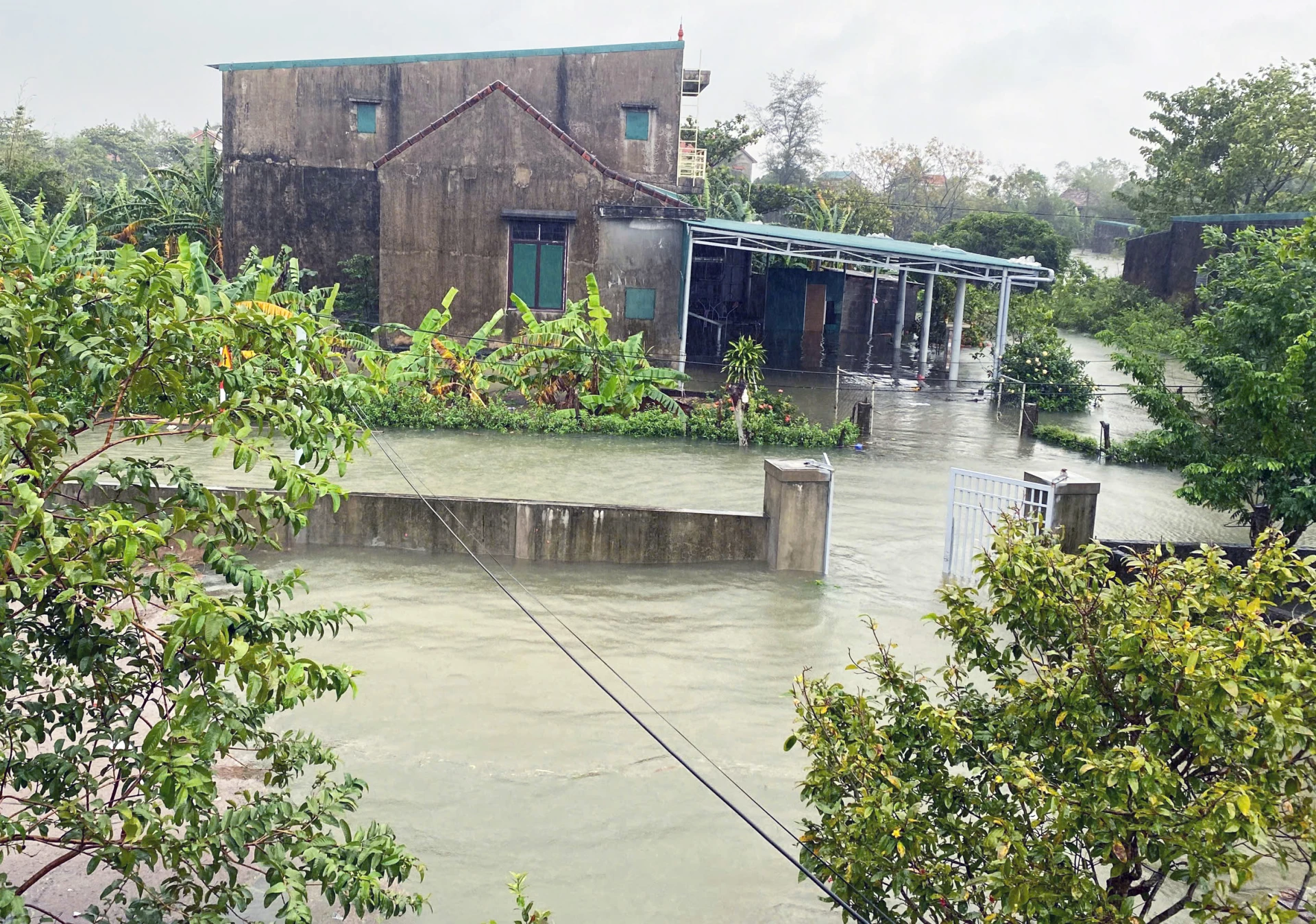 Lebih dari 1.800 rumah tangga di komune Ninh Chau terdampak hujan lebat - Foto: L.C