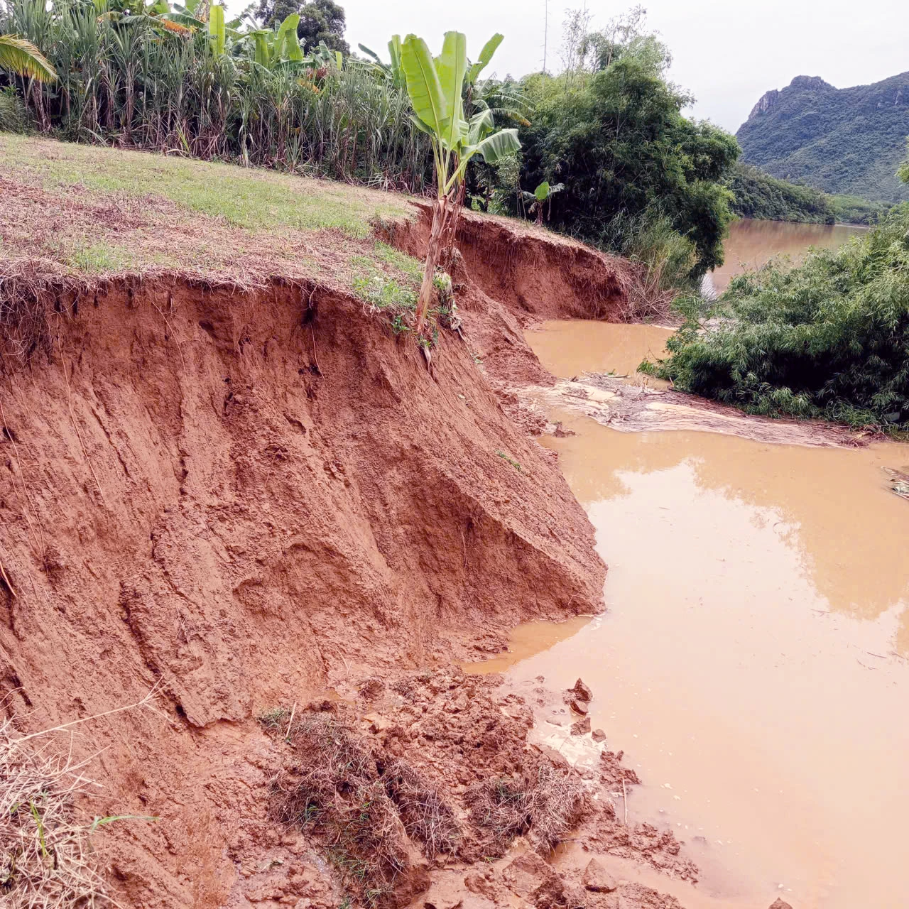 Longsor di Desa Kim Sen, Kelurahan Truong Son - Foto: Kontributor