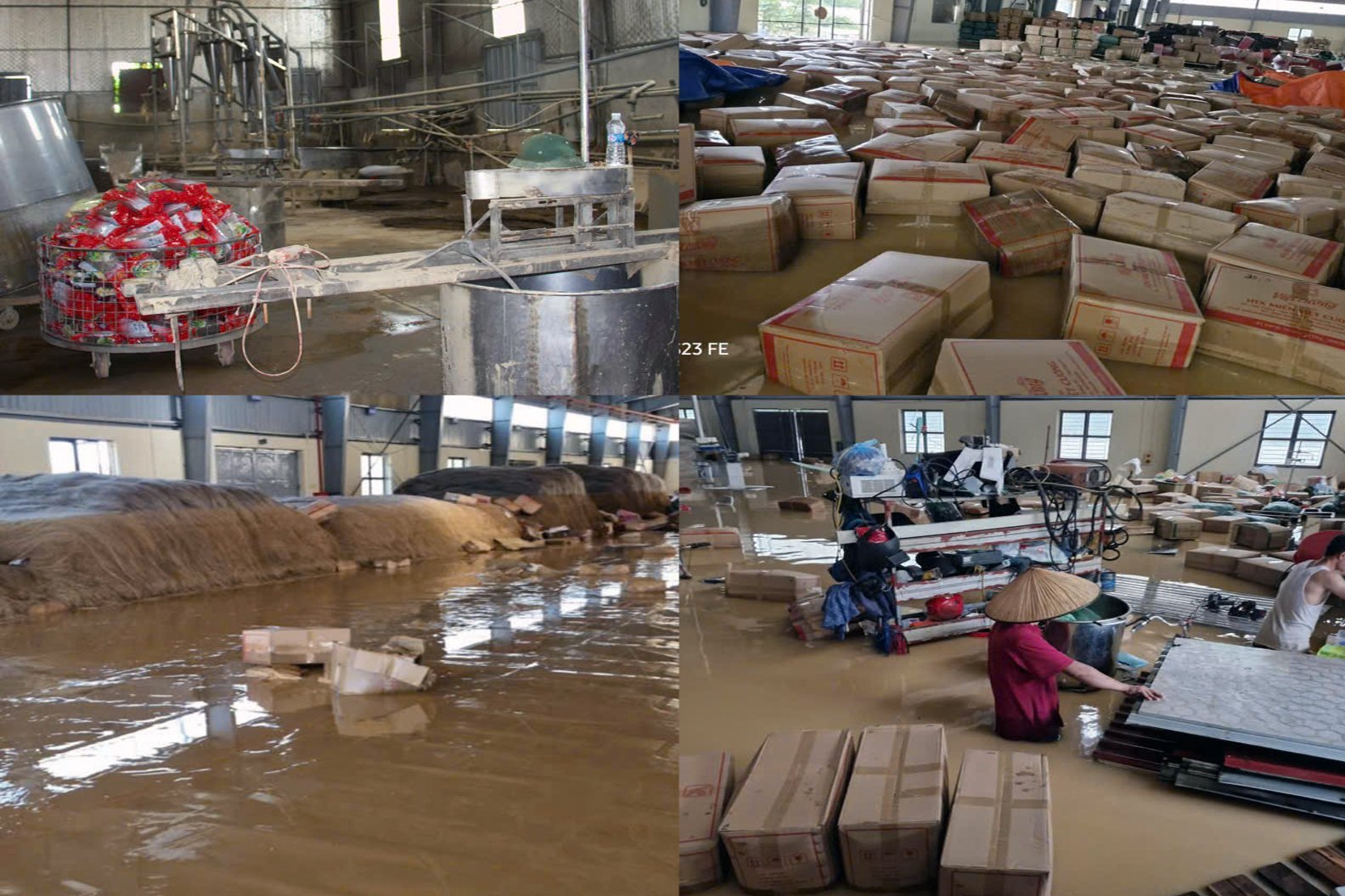 Xưởng miến của HTX miến Việt Cường ngập hoàn toàn trong nước lũ. Ảnh: Nguyệt Hồ