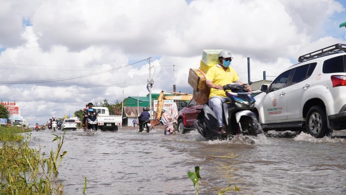 Một số đoạn trên quốc lộ 1A trên địa bàn tỉnh Cà Mau bị ngập trên diện rộng. Ảnh: Trọng Linh.