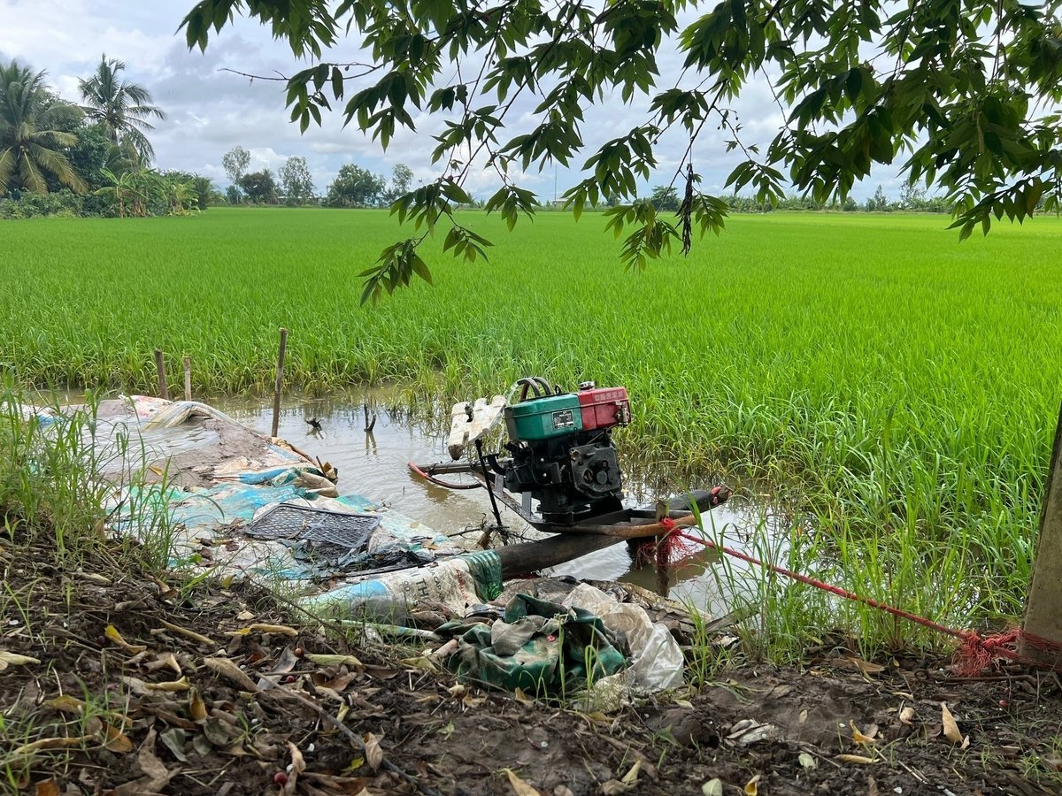 Nông dân chủ động bơm nước bảo vệ vụ lúa thu đông. Ảnh: Trọng Linh.