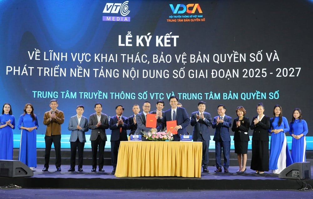 Fremme kreativitet, beskytte opphavsrett - bilde 10