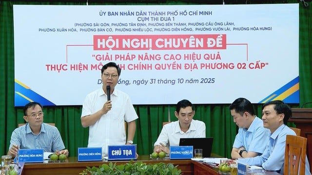 Hiệu quả bước đầu từ mô hình chính quyền địa phương 2 cấp tại TP. Hồ Chí Minh - Ảnh 1.