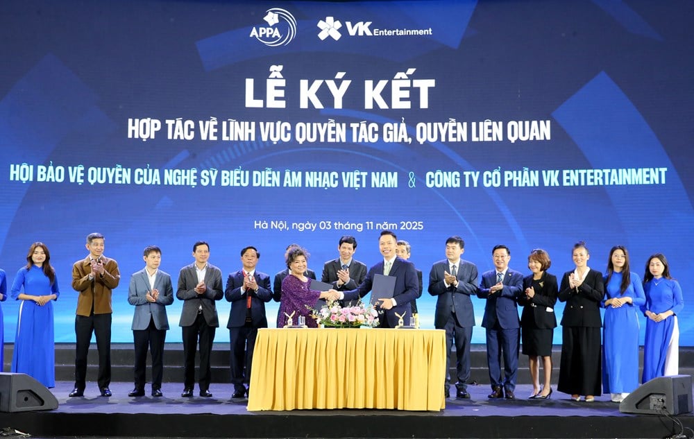 Fremme kreativitet, beskytte opphavsrett - bilde 11