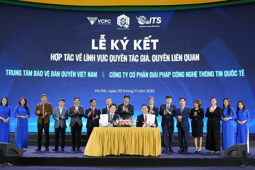 Fremme kreativitet, beskytte opphavsrett - bilde 13