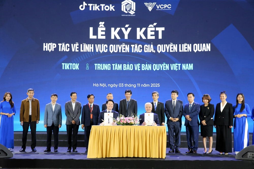 Fremme kreativitet, beskytte opphavsrett - bilde 15