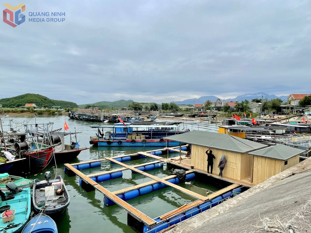 Folk i Dam Ha kommune bygger flåter og akvakulturanlegg for å fremme marin akvakulturproduksjon.