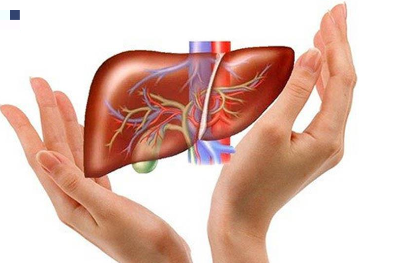 Cách thải độc gan từ thực phẩm sẵn có trong nhà bếp