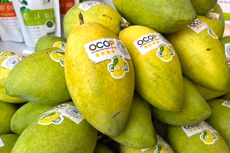 Τι_είναι_το_προϊόν_ocop_9_a4e99e9e20