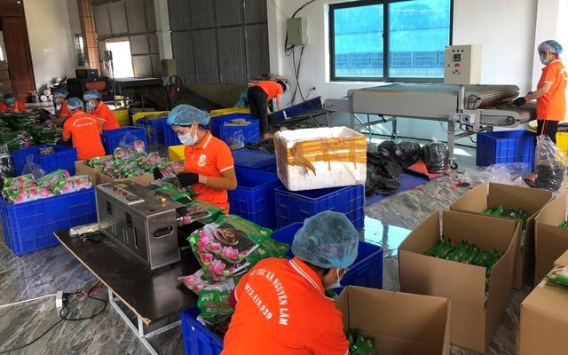 Nhiều sản phẩm OCOP của Hà Tĩnh vươn tầm 'xuất ngoại'