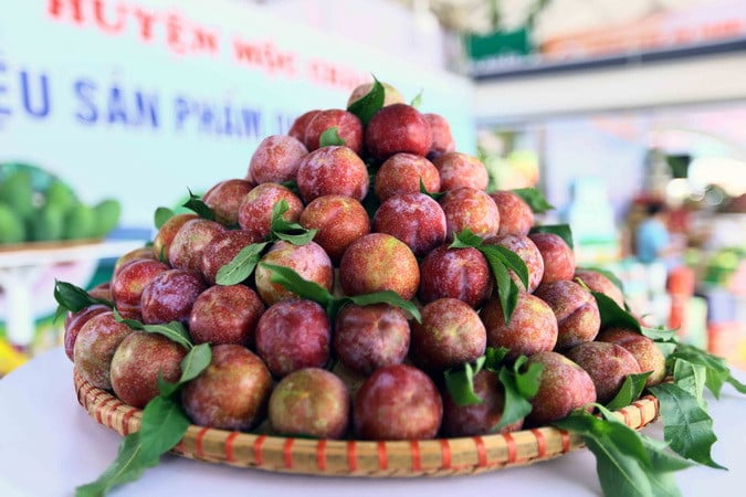 Tăng cường chính sách hỗ trợ và tháo gỡ vướng mắc trong triển khai OCOP- Ảnh 3.