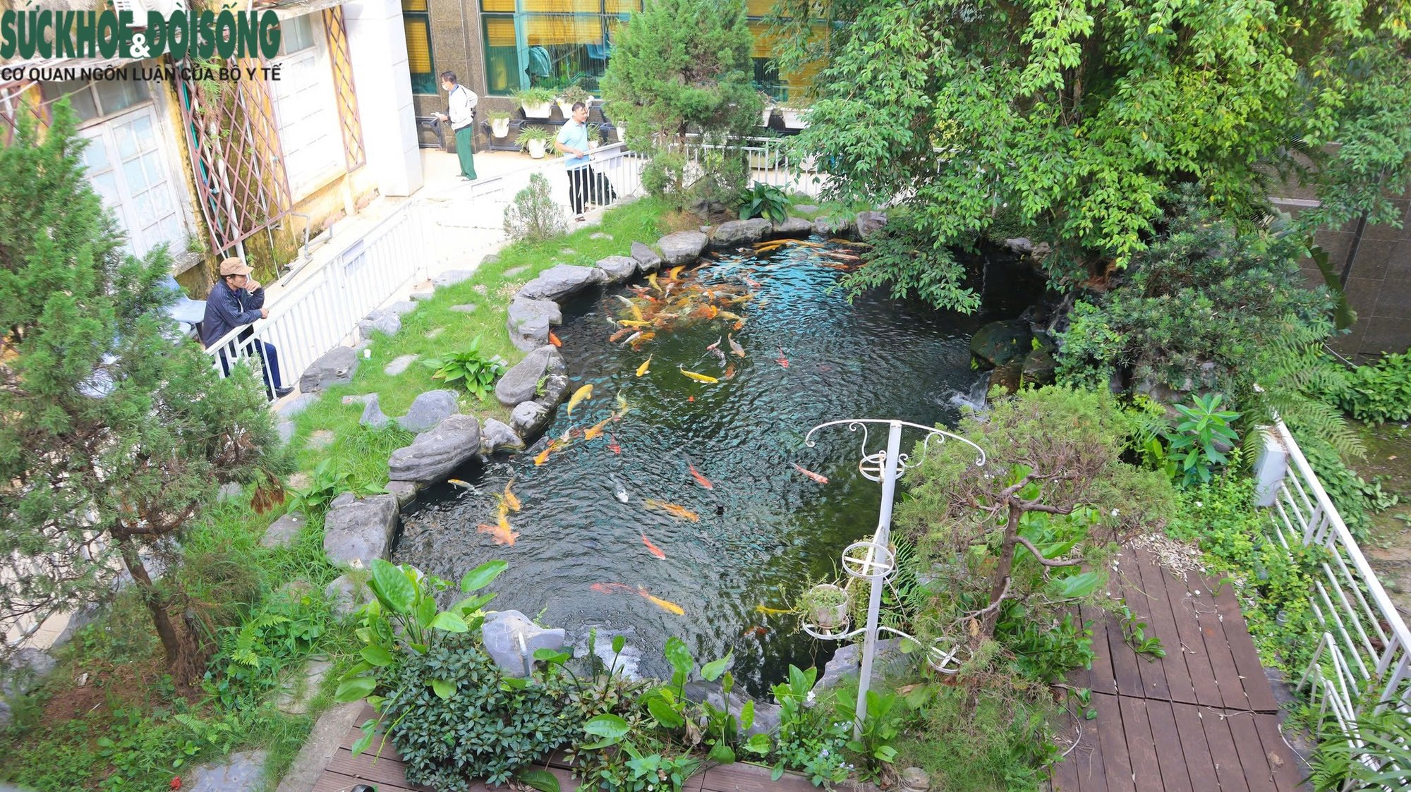 Xanh hóa bệnh viện, hướng tới sự hài lòng của người bệnh- Ảnh 2.