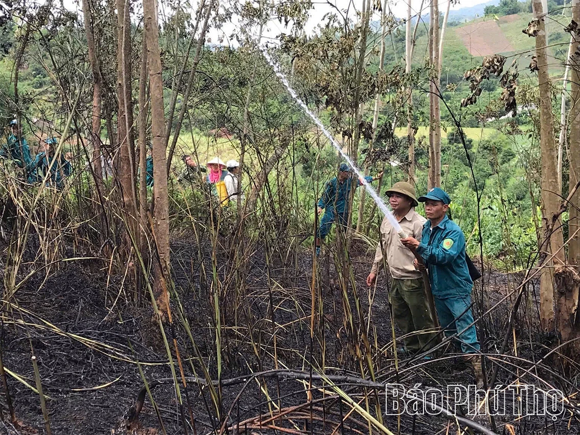 Promovarea rolului cheie al instalațiilor de prevenire și stingere a incendiilor forestiere